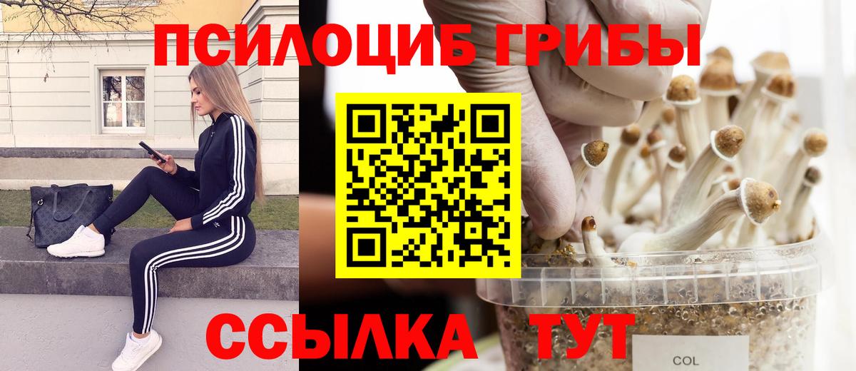 Псилоцибиновые грибы Magic Shrooms Рыбинск